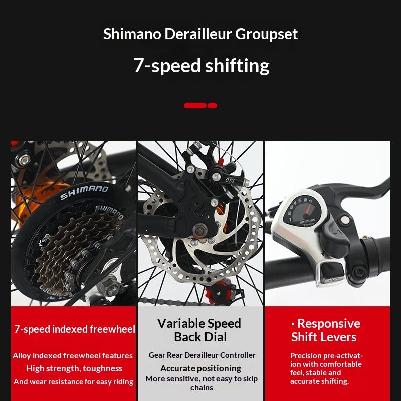 Bicicletta Pieghevole 20 Polli - Commuting With Bike recensione e prezzo