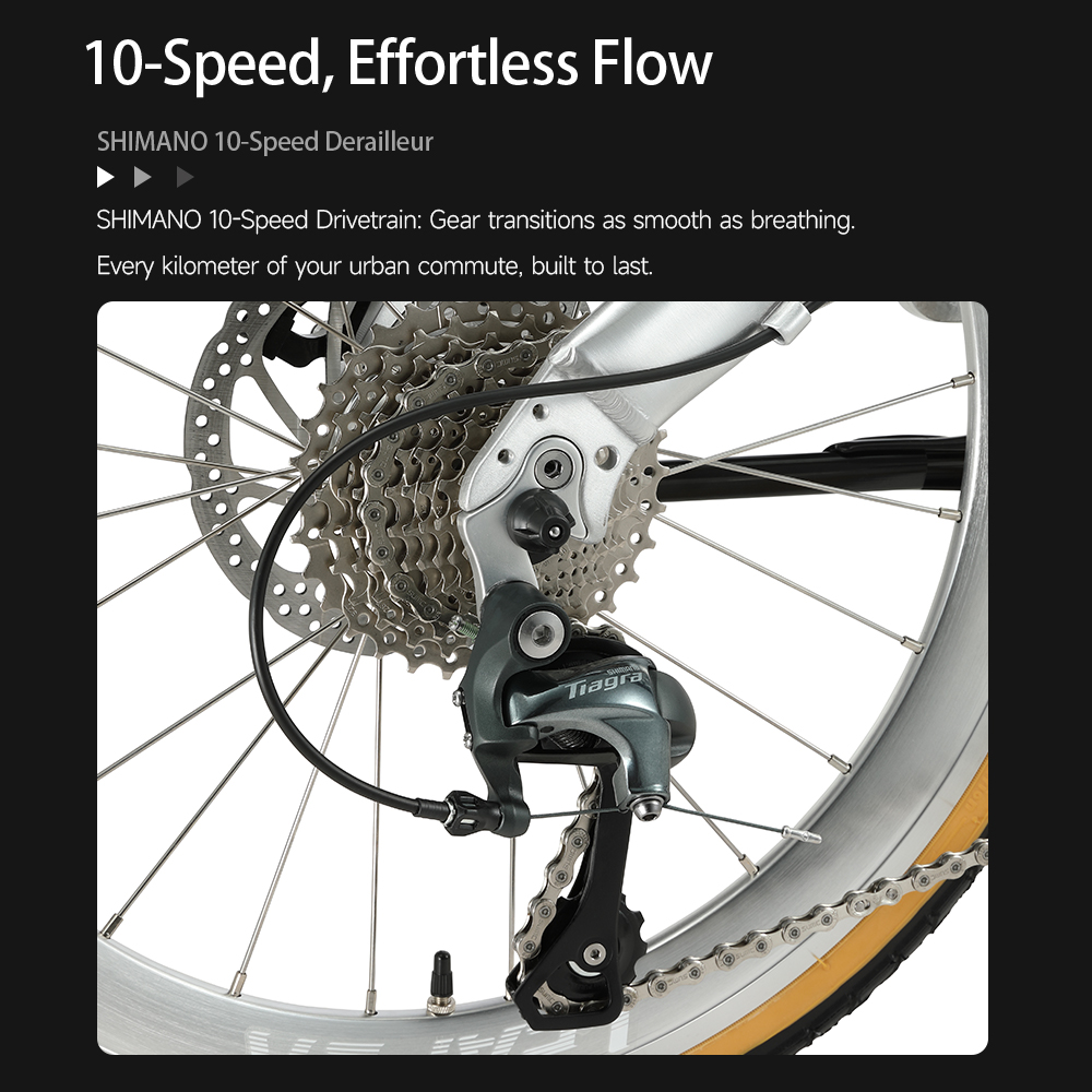Bicicletta Pieghevole in Pelle - Commuting With Bike recensione e prezzo