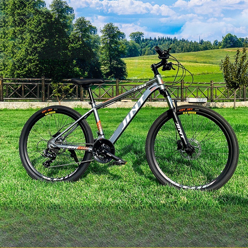 Bicicletta da Strada in Lega d - Commuting With Bike recensione e prezzo